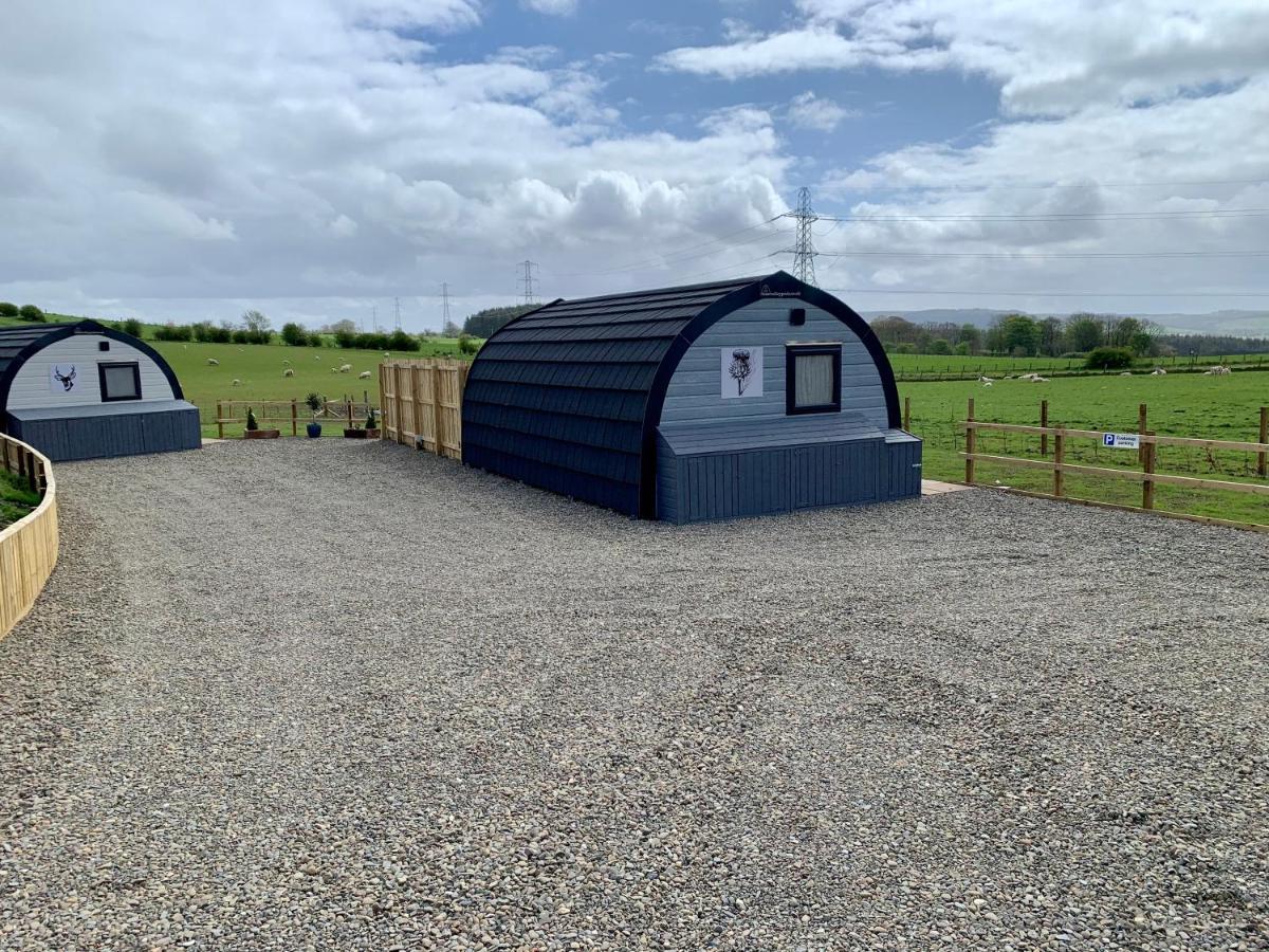 Thistle Pod Farm Stay With Hottub Sleeps 2 Galston  Exterior photo